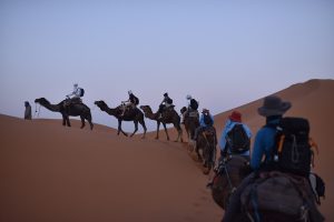 Top 3 Family Adventure Trips with Evolve Tours: Costa Rica, Panama & Ecuador